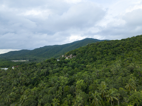 Aerial view of lush green hills and dense tropical forest contrasting with the overcast sky at Bukit Love Karimunjawa Jawa Tengah Indonesia. Aerial view of lush green hills and dense tropical forest contrasting with the overcast sky at Bukit Love Karimunjawa Jawa Tengah Indonesia.