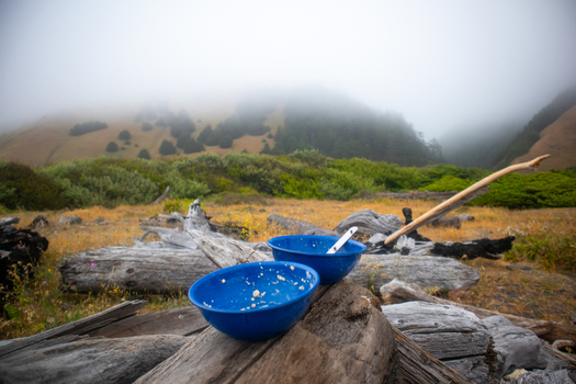 View of two blue bowls resting on driftwood in a foggy coastal landscape with rolling hills and scattered trees Humboldt County California United States.