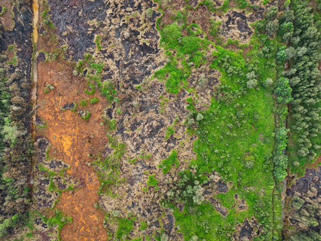 Aerial view of charred land from a forest fire contrasting with patches of green vegetation and a narrow water channel in Indonesia. Aerial view of charred land from a forest fire contrasting with patches of green vegetation and a narrow water channel in Indonesia.