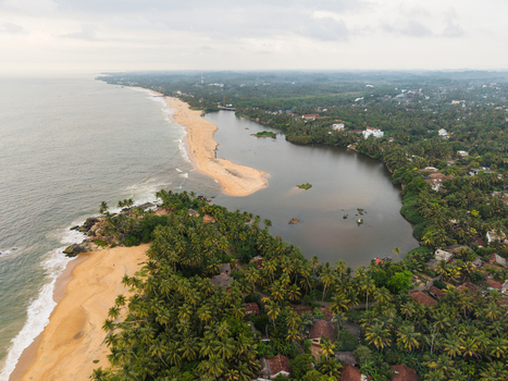 Aerial view of the sandy coastline and a calm lagoon surrounded by dense tropical palm trees and local buildings in Galle Southern Province Sri Lanka.