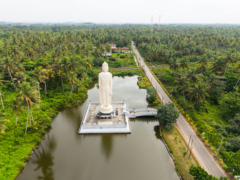 Aerial view of the Tsunami Honganji Viharaya Buddha statue standing in a pond surrounded by lush tropical palm trees in Peraliya Southern Province Sri Lanka. Aerial view of the Tsunami Honganji Viharaya Buddha statue standing in a pond surrounded by lush tropical palm trees in Peraliya Southern Province Sri Lanka.