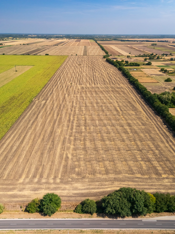Aerial view of summer crop fields and roads near Hajduboszormeny in Hungary Aerial view of summer crop fields and roads near Hajduboszormeny in Hungary