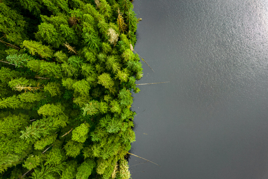 Aerial view of a dense coniferous forest bordering a dark lake in Juneau Alaska United States. Aerial view of a dense coniferous forest bordering a dark lake in Juneau Alaska United States.