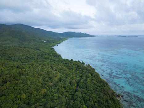 Aerial view of verdant forests meet the turquoise sea along the Tanjung Gelam Beach under a cloudy sky Karimunjawa Central Java Indonesia. Aerial view of verdant forests meet the turquoise sea along the Tanjung Gelam Beach under a cloudy sky Karimunjawa Central Java Indonesia.