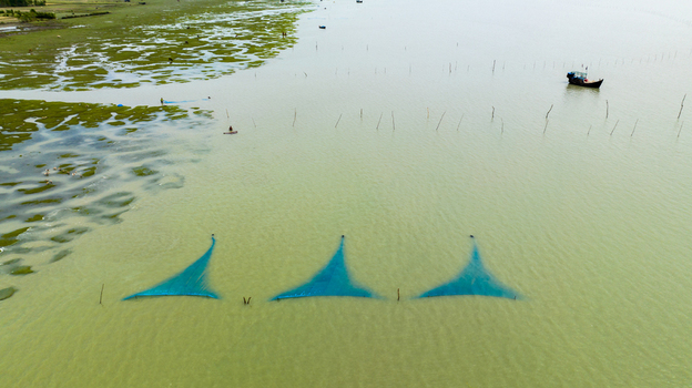 Aerial view of fishing nets submerged in the water with a small boat nearby and green marshland along the coast in Patharghata Barisal Division Bangladesh. Aerial view of fishing nets submerged in the water with a small boat nearby and green marshland along the coast in Patharghata Barisal Division Bangladesh.