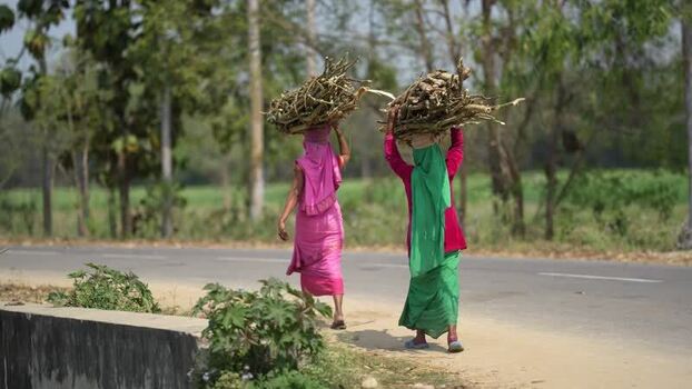 View of women carrying firewood on their heads Nepal.