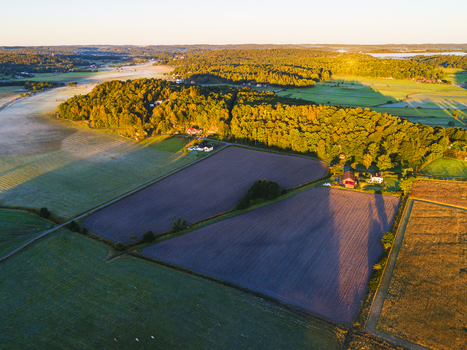 Aerial view of cultivated fields dense forest patches and farmhouses illuminated by the warm light of the golden hour in Hallesaker Halland County Sweden. Aerial view of cultivated fields dense forest patches and farmhouses illuminated by the warm light of the golden hour in Hallesaker Halland County Sweden.