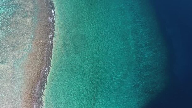 Aerial view of coral reef in Makunudhoo Maldives.