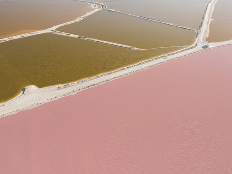 Aerial view of the vibrant pink and brown salt evaporation ponds showcasing the contrast between the mineral rich waters and the dividing dirt paths in Las Coloradas Yucatan Mexico.