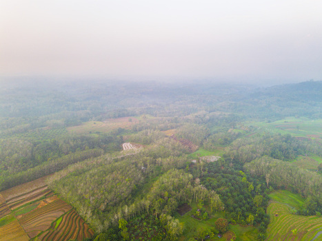 Aerial view of the lush green landscape and terraced fields of Kemumu in Arma Jaya Bengkulu Indonesia. Aerial view of the lush green landscape and terraced fields of Kemumu in Arma Jaya Bengkulu Indonesia.