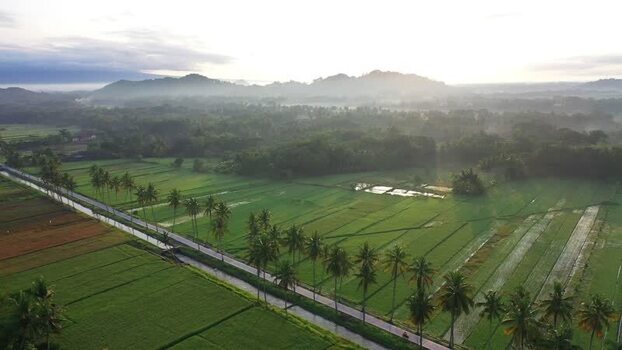 Aerial view of rice fields in Moyudan Indonesia.