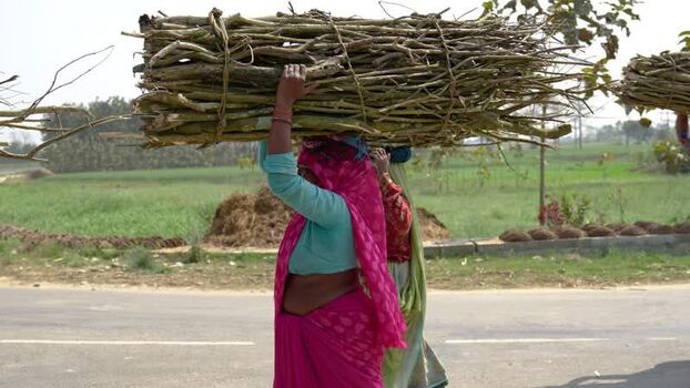 View of a woman carrying firewood on her head in Dhangadhi Nepal.
