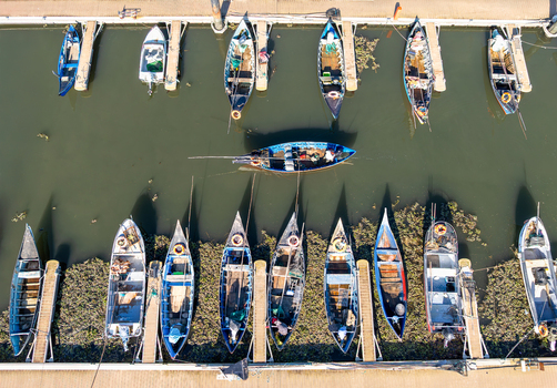 Aerial view of fishing boats docked in the calm waters of Porta de Abrigo a symphony of blues and whites against the green algae Torreira Aveiro Portugal. Aerial view of fishing boats docked in the calm waters of Porta de Abrigo a symphony of blues and whites against the green algae Torreira Aveiro Portugal.