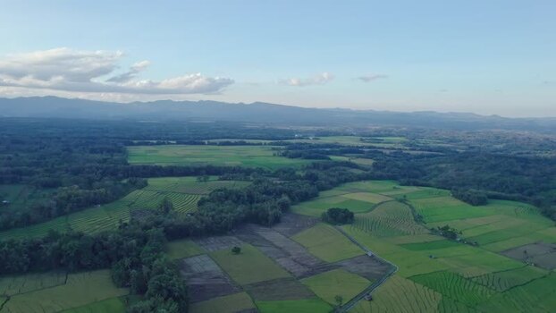 Aerial view of lush rice fields and mountains in Indonesia.