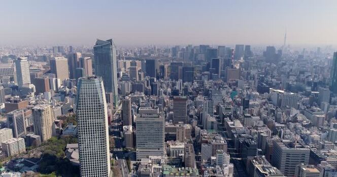 Aerial view of the Tokyo urban skyline Japan.