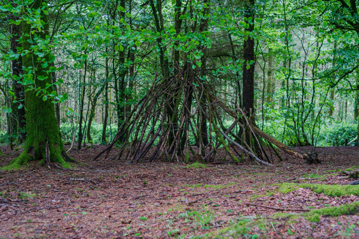 View of a rustic stick shelter built in the middle of a lush woodland with moss covered tree trunks and a leaf strewn forest floor in Looe Cornwall United Kingdom. View of a rustic stick shelter built in the middle of a lush woodland with moss covered tree trunks and a leaf strewn forest floor in Looe Cornwall United Kingdom.