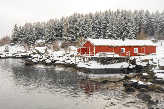 View of a traditional red wooden cabin situated on a rocky snow covered shoreline by the calm water backed by a dense forest of snow laden pine trees in Leknes Lofoten Norway.
