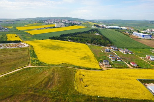 Aerial view of blooming yellow canola fields and green agricultural land with residential houses under a bright sky in Silivri Istanbul Turkey. Aerial view of blooming yellow canola fields and green agricultural land with residential houses under a bright sky in Silivri Istanbul Turkey.