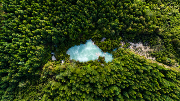 Aerial view of an ethereal turquoise pool nestled amidst a dense vibrant green forest canopy Waiotapu New Zealand. Aerial view of an ethereal turquoise pool nestled amidst a dense vibrant green forest canopy Waiotapu New Zealand.