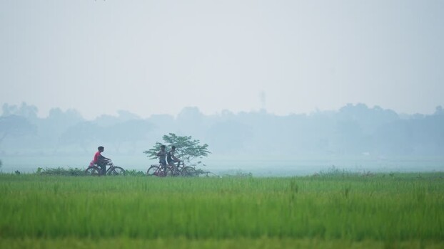 View of people riding bicycles through misty green fields Bangladesh. View of people riding bicycles through misty green fields Bangladesh.
