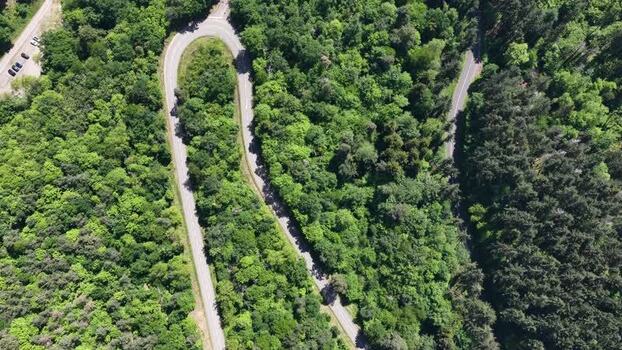 Aerial view of a winding road through lush green forest France.