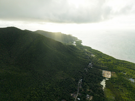 Aerial view of lush green forest meeting the bright shimmering ocean under a cloudy sky Karimunjawa Central Java Indonesia.