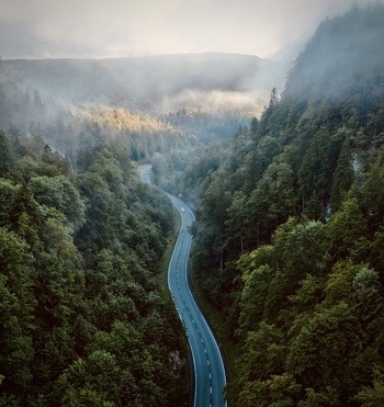 Aerial view of a winding road cutting through a dense foggy forest in the Swiss mountains Switzerland.