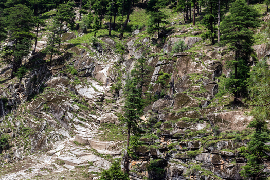 View of the rugged rocky mountainside covered with pine trees and mossy boulders in Kumrat Valley Khyber Pakhtunkhwa Pakistan. View of the rugged rocky mountainside covered with pine trees and mossy boulders in Kumrat Valley Khyber Pakhtunkhwa Pakistan.