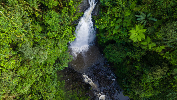 Aerial view of Gomblang Waterfall cascading into a pool surrounded by lush tropical jungle and dense green foliage in Kecamatan Kedungbanteng Jawa Tengah Indonesia. Aerial view of Gomblang Waterfall cascading into a pool surrounded by lush tropical jungle and dense green foliage in Kecamatan Kedungbanteng Jawa Tengah Indonesia.