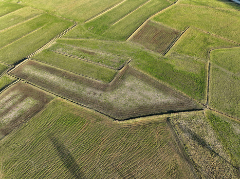 Aerial view of geometric agricultural fields with green grass and tilled soil under soft sunlight in Rivalta di Torino Piedmont Italy. Aerial view of geometric agricultural fields with green grass and tilled soil under soft sunlight in Rivalta di Torino Piedmont Italy.