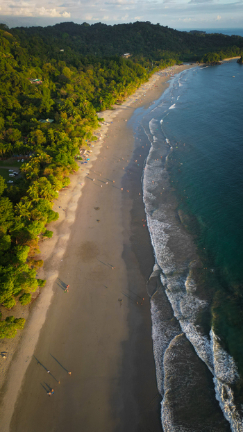 Aerial view of the beach where the lush forest meets the ocean s edge creating a stunning contrast of greens and blues Quepos Puntarenas Province Costa Rica.