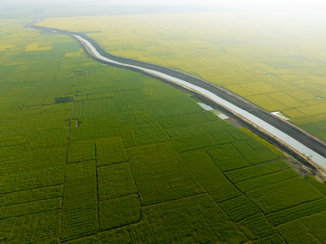 Aerial view of a river snaking through a vibrant patchwork of verdant and golden fields creating a mesmerizing contrast of colors Sirajganj Rajshahi Division Bangladesh. Aerial view of a river snaking through a vibrant patchwork of verdant and golden fields creating a mesmerizing contrast of colors Sirajganj Rajshahi Division Bangladesh.