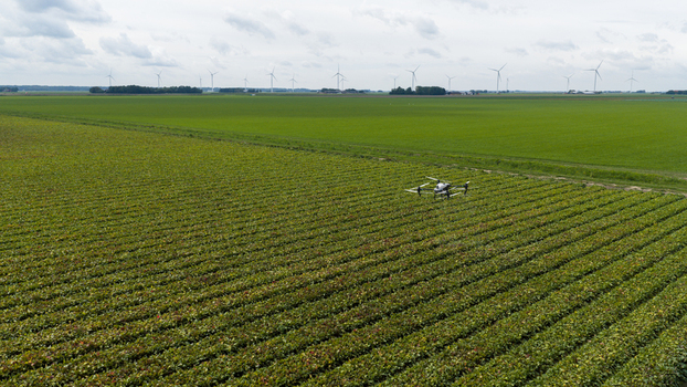 Aerial view of an agricultural drone flying over a vast green crop field with rows of plants and wind turbines in the distance under a cloudy sky in Zeewolde Flevoland Netherlands. Aerial view of an agricultural drone flying over a vast green crop field with rows of plants and wind turbines in the distance under a cloudy sky in Zeewolde Flevoland Netherlands.