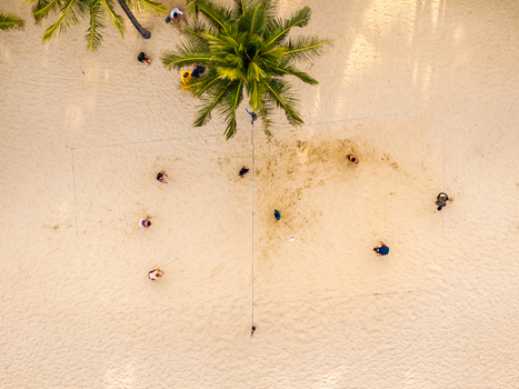 Aerial view of people playing volleyball on a sandy beach with a palm tree and net in Vietnam. Aerial view of people playing volleyball on a sandy beach with a palm tree and net in Vietnam.