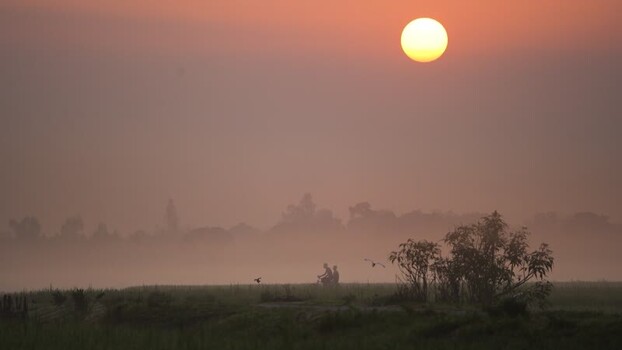 View of a misty sunrise over rural fields in Bangladesh. View of a misty sunrise over rural fields in Bangladesh.