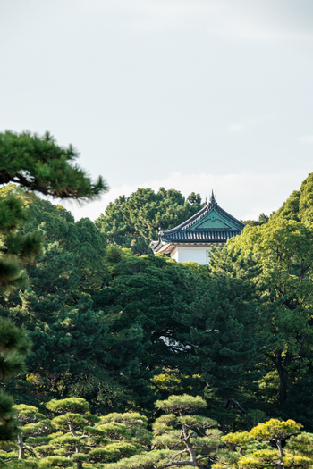View of a traditional Japanese building with a green roof peeks through a dense forest of lush green trees a tranquil scene Tokyo Tokyo Japan. View of a traditional Japanese building with a green roof peeks through a dense forest of lush green trees a tranquil scene Tokyo Tokyo Japan.