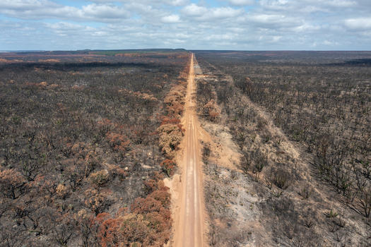 Aerial view of a dirt road cutting through a landscape devastated by bushfires with scorched earth and burnt trees on Kangaroo Island South Australia Australia. Aerial view of a dirt road cutting through a landscape devastated by bushfires with scorched earth and burnt trees on Kangaroo Island South Australia Australia.