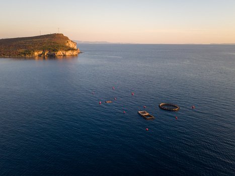 Aerial view of fish farm cages and red buoys floating in the calm blue waters of the Ionian Sea near a rocky headland during sunset Porto Palermo Qarku i Vlores Albania. Aerial view of fish farm cages and red buoys floating in the calm blue waters of the Ionian Sea near a rocky headland during sunset Porto Palermo Qarku i Vlores Albania.