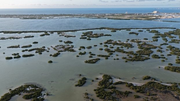 Aerial view of the Yucalpeten lagoon featuring numerous mangrove islets scattered across calm waters under a clear sky Progreso Yucatan Mexico. Aerial view of the Yucalpeten lagoon featuring numerous mangrove islets scattered across calm waters under a clear sky Progreso Yucatan Mexico.