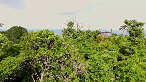 Aerial view of Piaynemo forest in Distrik Waigeo Barat Indonesia. Aerial view of Piaynemo forest in Distrik Waigeo Barat Indonesia.