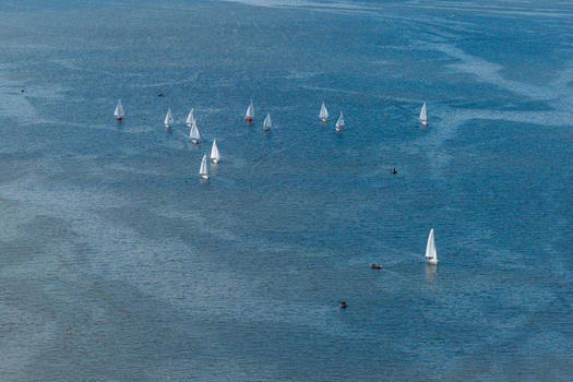 Aerial view of sailboats participating in a yacht race on the Vistula river with calm blue water in Plock Masovian Voivodeship Poland.