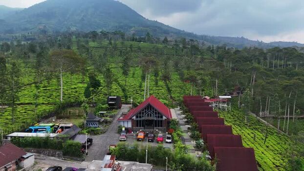 Aerial view of Kebun Teh Panama in the mountains Indonesia. Aerial view of Kebun Teh Panama in the mountains Indonesia.