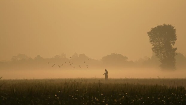 View of a person in a misty field at sunrise Bangladesh.