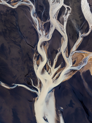 Aerial view of intricate white glacial river channels flowing through dark volcanic sand in Iceland. Aerial view of intricate white glacial river channels flowing through dark volcanic sand in Iceland.