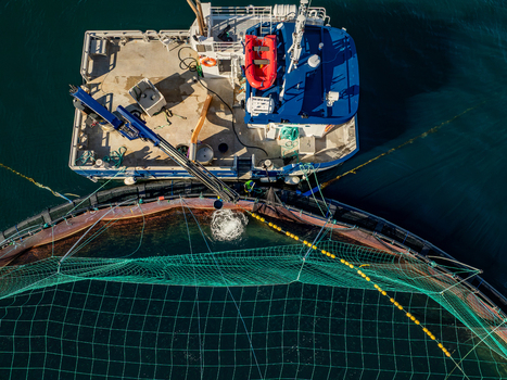 Aerial view of a salmon farm with a work boat and crane operating near the aquaculture nets in the sea in Gratangen Norway. Aerial view of a salmon farm with a work boat and crane operating near the aquaculture nets in the sea in Gratangen Norway.