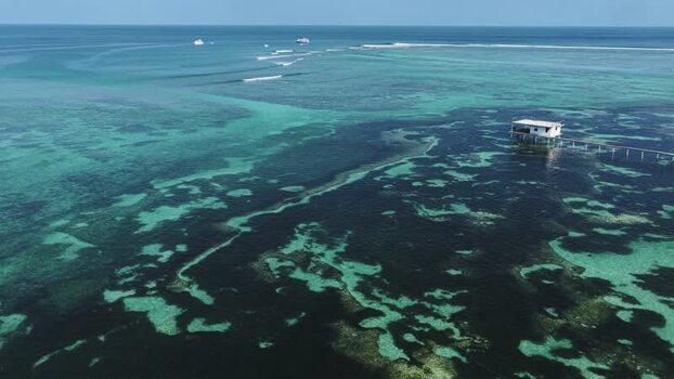 Aerial view of a tropical reef and overwater hut Maldives.