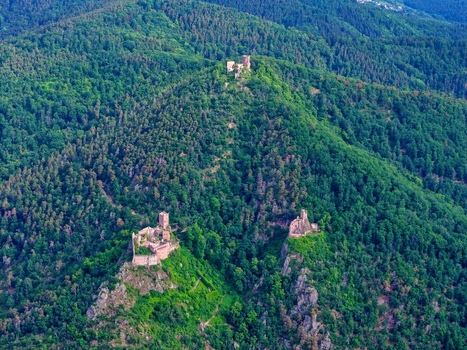 Aerial view of the three medieval castle ruins of Saint Ulrich Girsberg and Haut Ribeaupierre nestled among lush green forested hills Ribeauville Grand Est France. Aerial view of the three medieval castle ruins of Saint Ulrich Girsberg and Haut Ribeaupierre nestled among lush green forested hills Ribeauville Grand Est France.