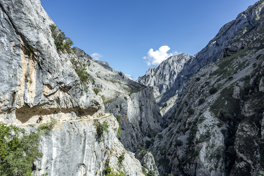 View of jagged grey cliffs rise dramatically framing a narrow path carved into the mountainside under a clear blue sky Picos de Europa Asturias Spain. View of jagged grey cliffs rise dramatically framing a narrow path carved into the mountainside under a clear blue sky Picos de Europa Asturias Spain.