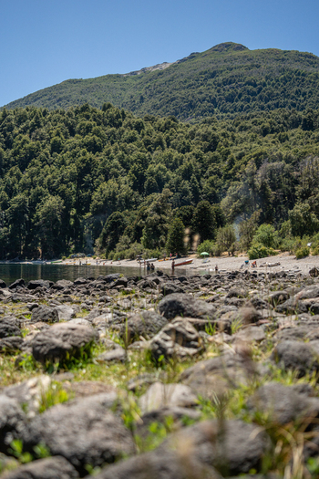 View of the rocky shoreline of Lago Paimun with a dense forest and mountain in the background Huiliches Department Neuquen Province Argentina.