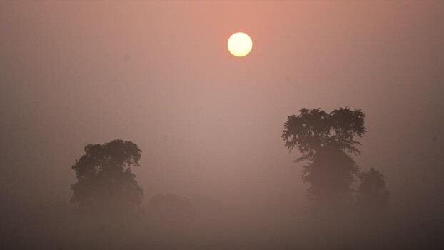 View of a hazy sunrise over silhouetted trees Bangladesh.